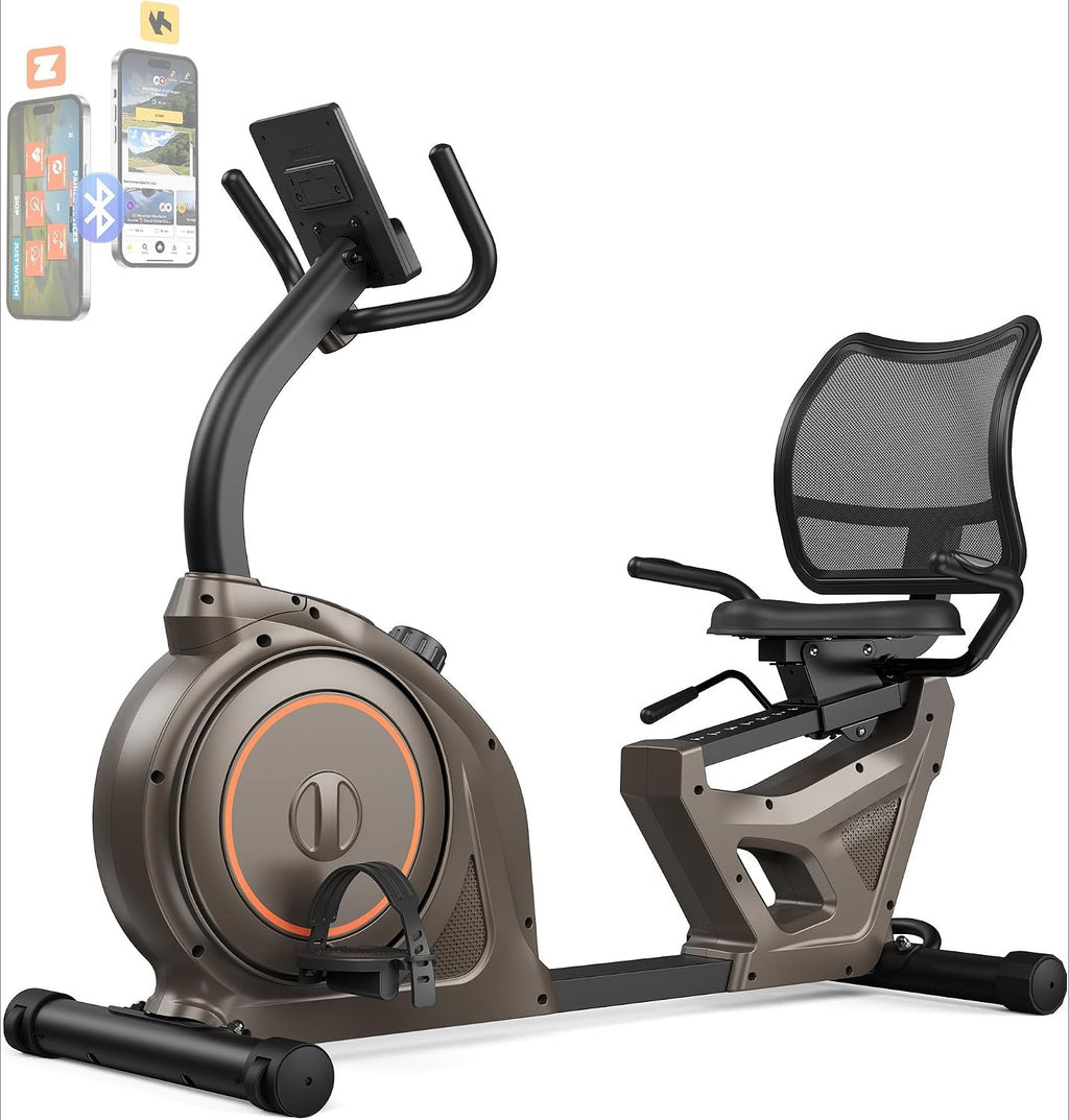 Smart Recumbent Bike 400LBS